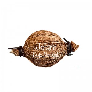 Small Nariyal / Coconut